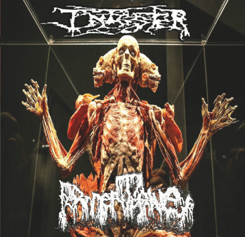 Infester (USA-2) : Infester - Fermentative